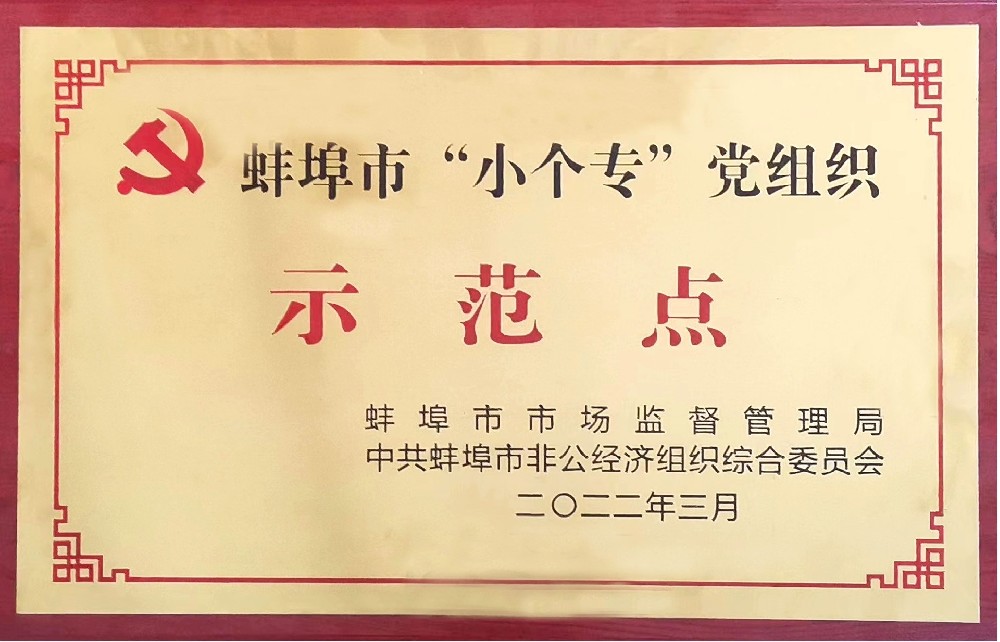 盛世新能源黨支部榮獲蚌埠市“小個?！秉h組織示范點稱號