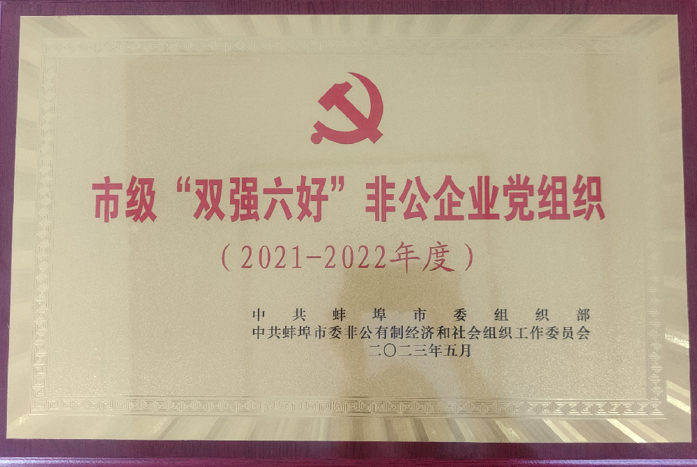 喜報(bào)！中共安徽盛世新能源材料科技有限公司支部委員會(huì)榮獲蚌埠市“雙強(qiáng)六好”非公企業(yè)黨組織榮譽(yù)稱號(hào)